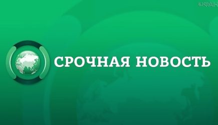 новости