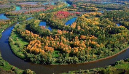 новости