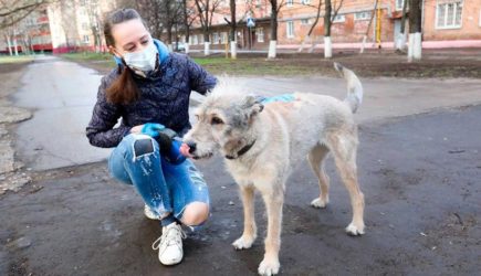 новости