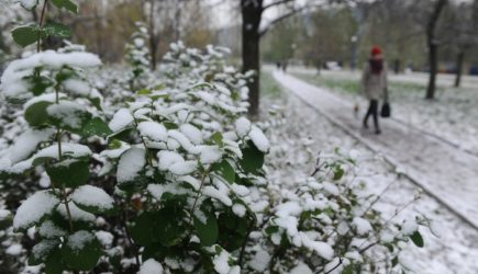 новости