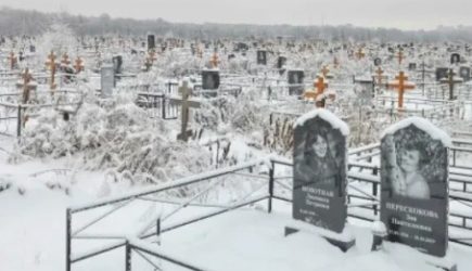 новости