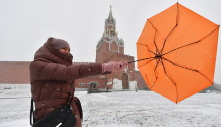 новости