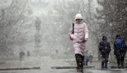 новости