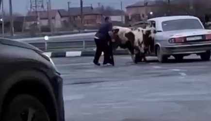 новости