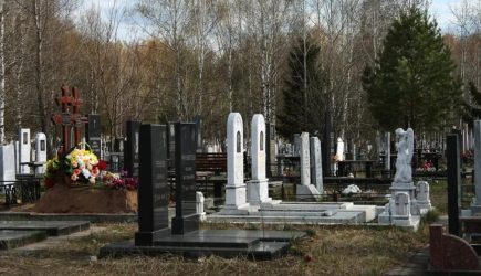 новости