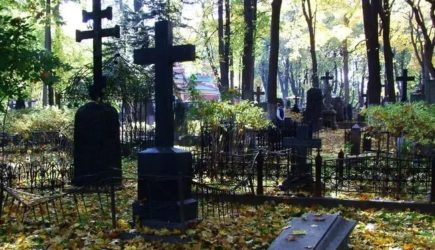 новости